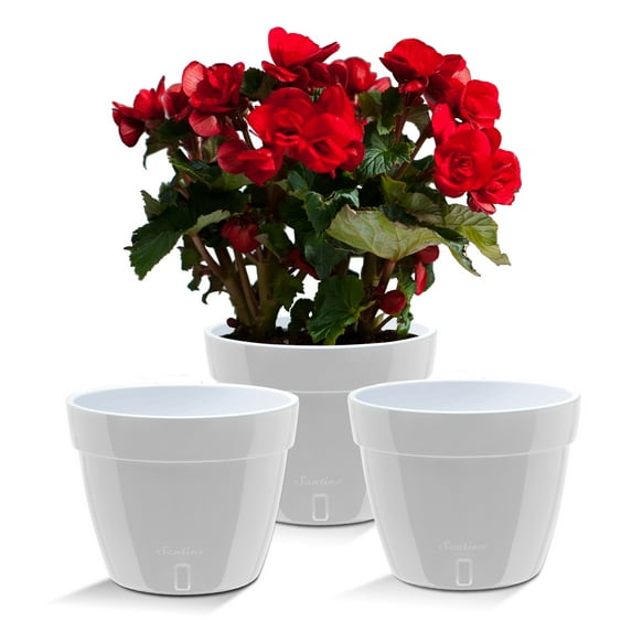 🪴 Santino ASTI 10.6 Inch Self Watering Planters GREY/WHITE (Set of 3) for Indoor Plants - Modern Plastic Pot w/ Water level Indicator for All House Plants, African Violets and Dahlias