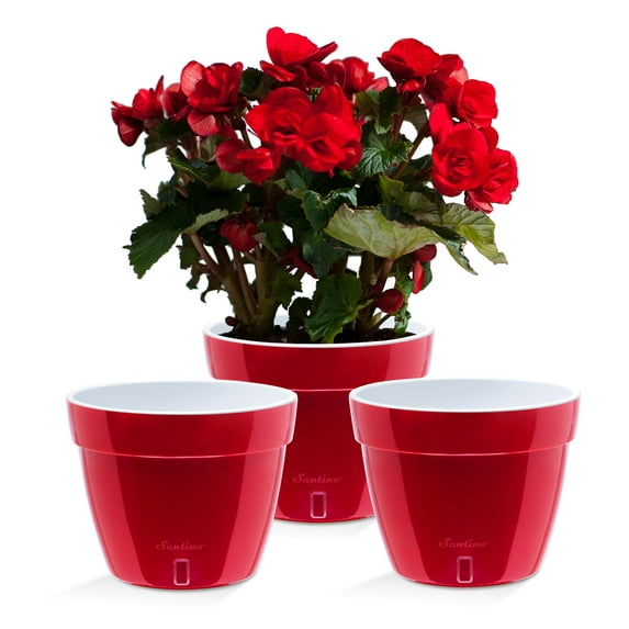 🪴 Santino ASTI 10.6 Inch Self Watering Planters RED-PEARL/WHITE (Set of 3) for Indoor Plants - Modern Plastic w/ Water level Indicator for All House Plants, African Violets and Dahlias