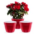 thumbnail image 1 of 🪴 Santino ASTI 11.8 Inch Self Watering Planters RED-PEARL/WHITE (Set of 3) for Indoor Plants - Modern Pot w/ Water level Indicator for All House Plants, African Violets and Dahlias, 1 of 9