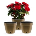 thumbnail image 1 of ⭐ Santino ASTI 12.6 Inch Self Watering Planters GOLD/BLACK (Set of 3) for Indoor Plants - Premium Modern Plastic Pot w/ Water level Indicator for All House Plants, African Violets and Dahlias, 1 of 9