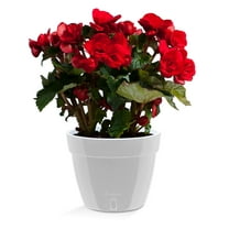 🪴 Santino ASTI 7.1 Inch Self Watering Planter GREY/WHITE for Indoor Plants - Modern Plastic Planter Pot w/ Water level Indicator for All House Herbs, Plants, African Violets and Dahlias