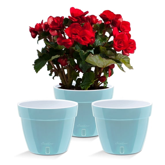 🪴 Santino ASTI 7.1 Inch Self Watering Planters MENTHOL/WHITE (Set of 3) for Indoor Plants - Modern Plastic Pot w/ Water level Indicator for All House Plants, African Violets and Dahlias