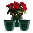 thumbnail image 1 of 🪴 Santino ASTI 7.9 Inch Self Watering Planters GREEN/BLACK (Set of 3) for Indoor Plants - Modern Plastic Pot w/ Water level Indicator for All House Plants, African Violets and Dahlias, 1 of 9