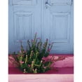 thumbnail image 1 of Santorini I Spring Crop Poster Print by Sara Zieve Miller (24 x 36) # 54449, 1 of 3