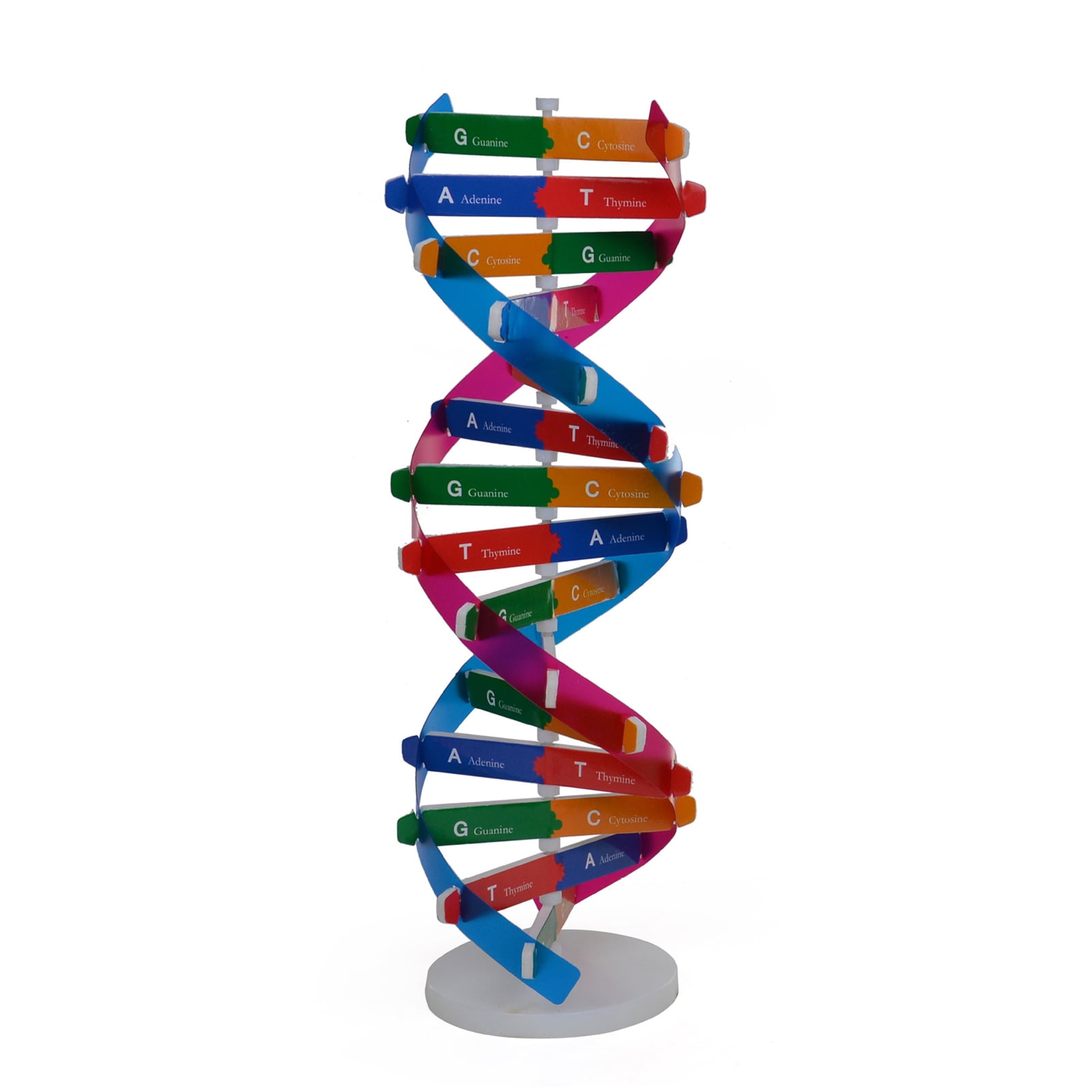 Double 2024 helical structure