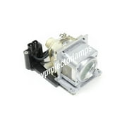 Sanyo LMP113 Projector Lamp with Module