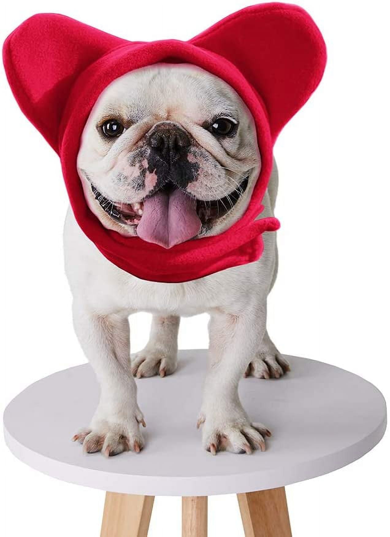 Bat hat for french bulldog sales