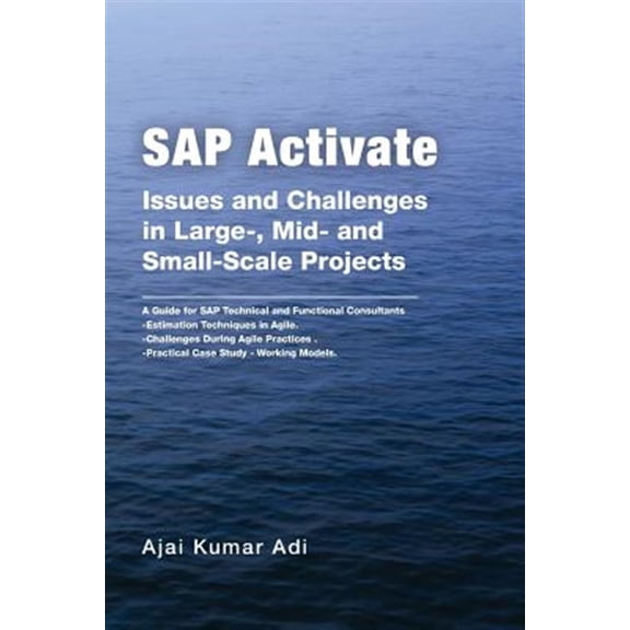 Pre-Owned Sap Activate : Issues and Challenges in Large-, Mid- and Small-scale Projects: a Guide for Sap Technical and Functional Consultants