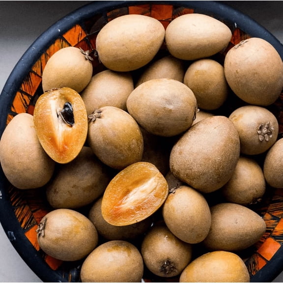 Sapodilla Tree Live for Planting, Sapote Tree, Sweet Tropical Fruit Tree Live for Garden 6 to 8 Inc Tall in Half Gal Pot