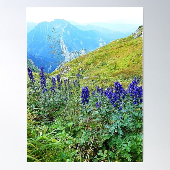 Sapphire Aconite Poisonous Poster Wall Art, Modern Wall Decor For Living Room Bedroom, 12x18 UNFRAMED