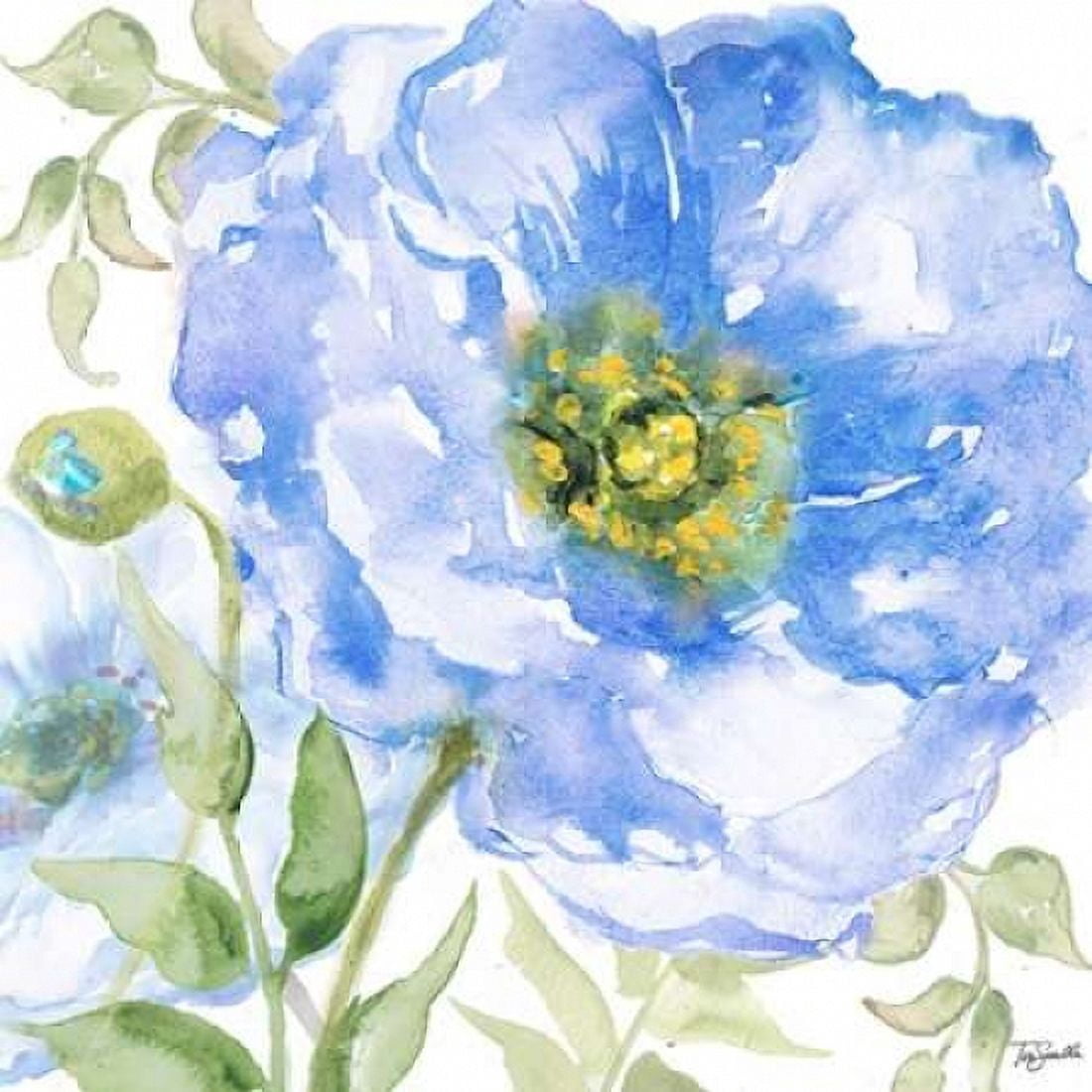 Sapphire Beauty I Canvas Art - Tre Sorelle Studios (24 x 24)