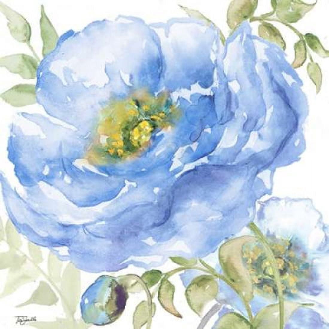 Sapphire Beauty II Canvas Art - Tre Sorelle Studios (24 x 24)