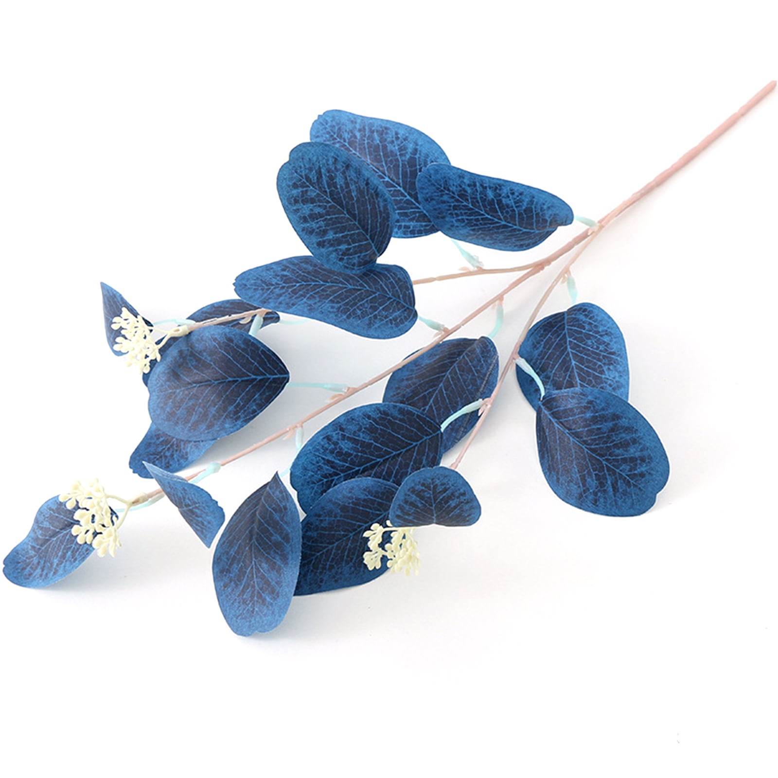 Sapphire Blue Simulation With Fruit Eucalyptus Leaves Morandi Color