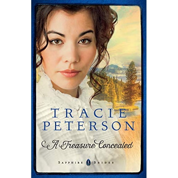 Pre-Owned A Treasure Concealed (Paperback) 0764213245 9780764213243