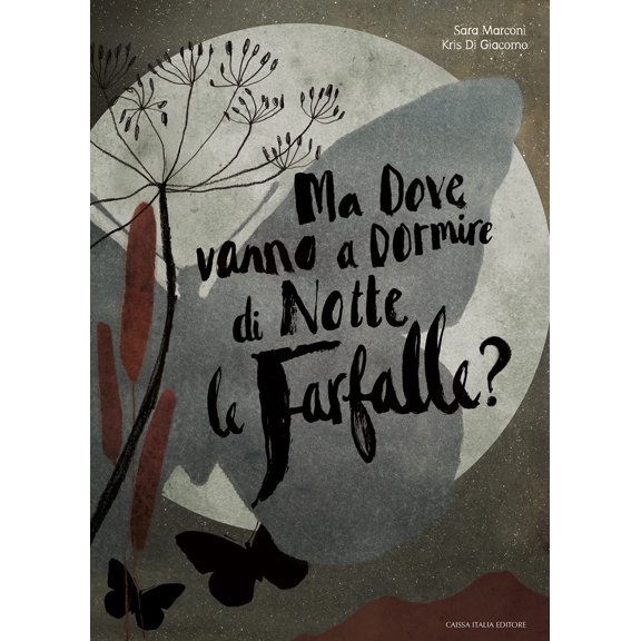 Sara Marconi,Kris Di Giac Ma dove vanno a dormire di notte le farfalle? Ediz. a col (Paperback)
