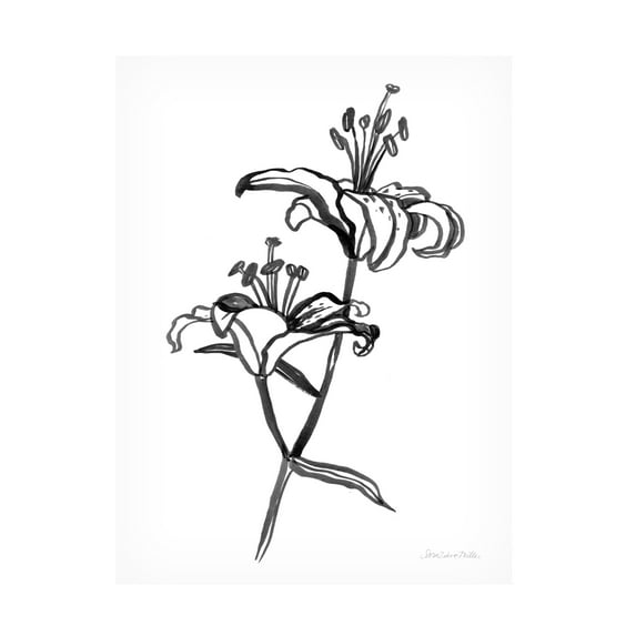Sara Zieve Miller 'Ink Lilies I' Canvas Art