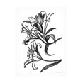 thumbnail image 1 of Sara Zieve Miller 'Ink Lilies II' Canvas Art, 1 of 4