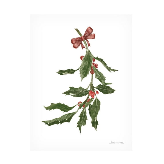 Sara Zieve Miller 'Peace and Joy Holly' Canvas Art