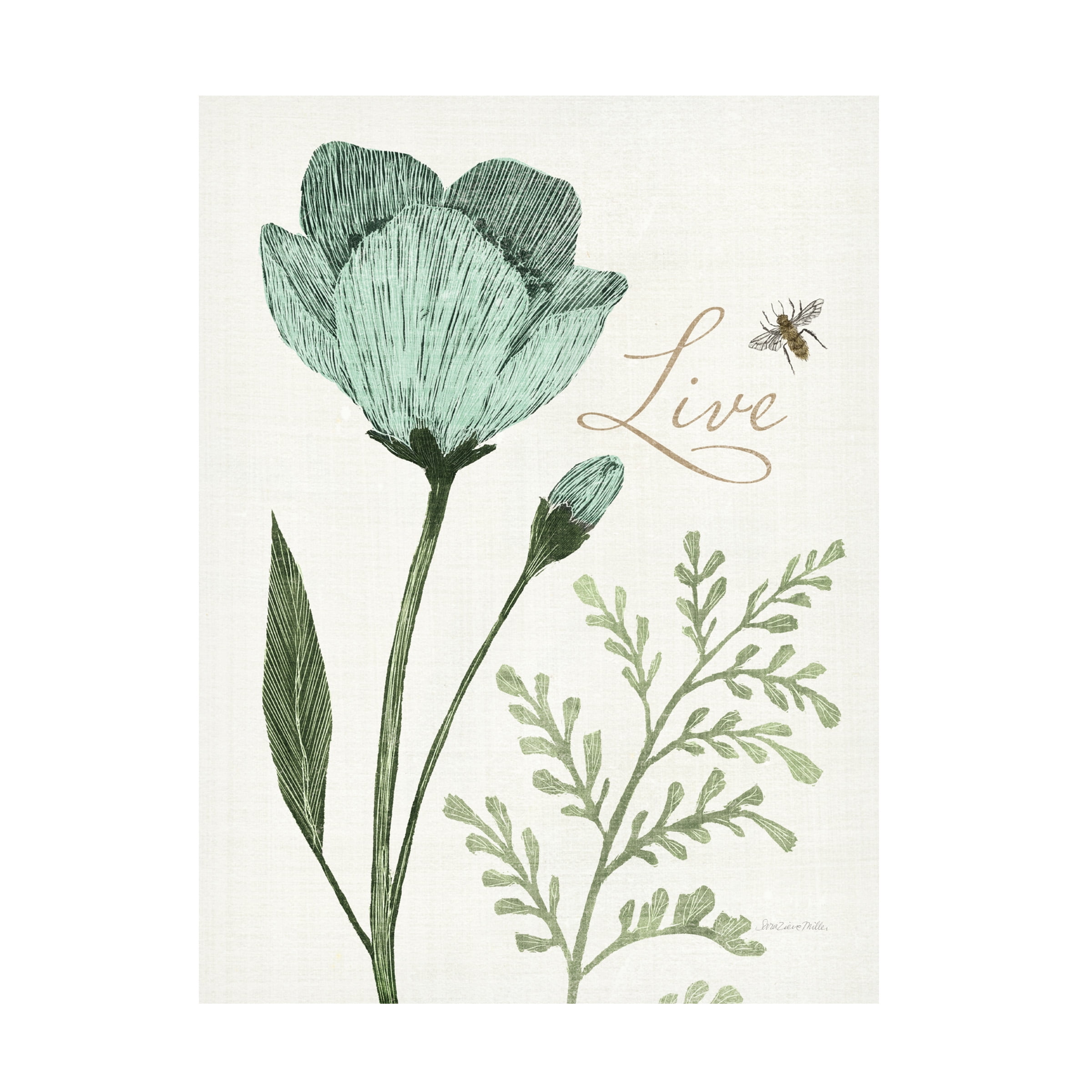Sara Zieve Miller 'Springtime I' Canvas Art