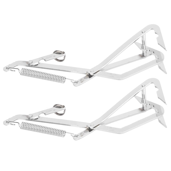Sarapandan 2 Pcs Seafood Grabber Stainless Steel Grabbing Tools for Catching Crabs Pike Predatory FishDouble Hook