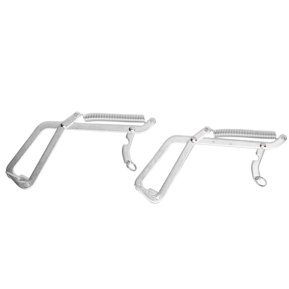 Sarapandan 2 Pcs Seafood Grabber Stainless Steel Grabbing Tools for Catching Crabs Pike Predatory FishSingle Hook