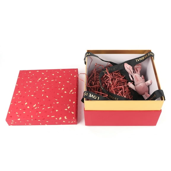 Sarapandan Red Square Gift Boxes with Lid & LED Lights, Perfect for Weddings & Celebrations