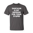 thumbnail image 1 of Sarcasm Is My Defense For Your Stupid Sarcastic Humor Graphic Novelty Funny Youth T Shirt, 1 of 1