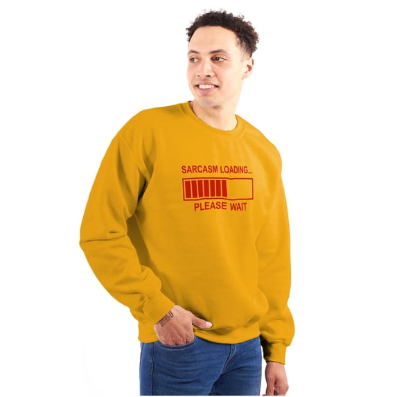 Sarcasm Loading Please Wait Sweatshirt for Men or Women Brisco Brands 2X
