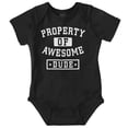 thumbnail image 1 of Sarcastic Property of Awesome Dude Bodysuit Jumper Boys Infant Baby Brisco Brands NB, 1 of 6