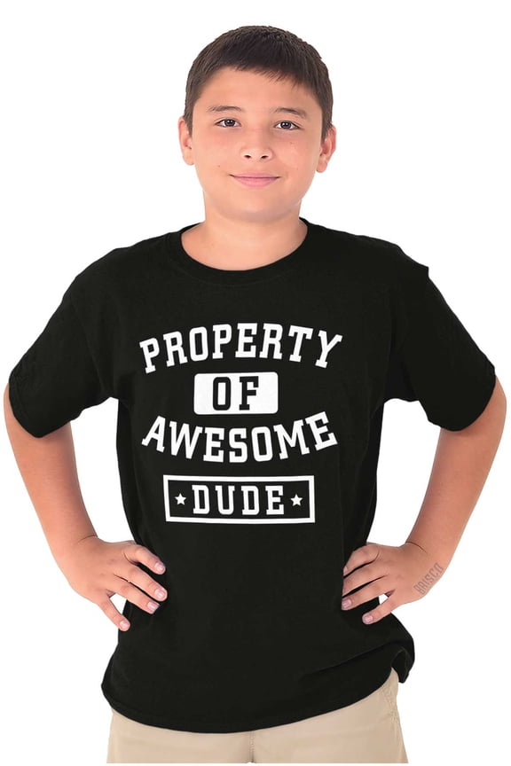 Sarcastic Property of Awesome Dude Boys Kids T Shirt Tees Tops Teen Brisco Brands XS