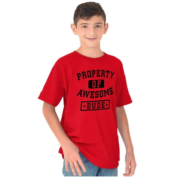 Sarcastic Property of Awesome Dude Boys Kids T Shirt Tees Tops Teen Brisco Brands X