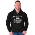 thumbnail image 1 of Sarcastic Property of Awesome Dude Hoodie Hooded Sweatshirt Men Brisco Brands S, 1 of 6