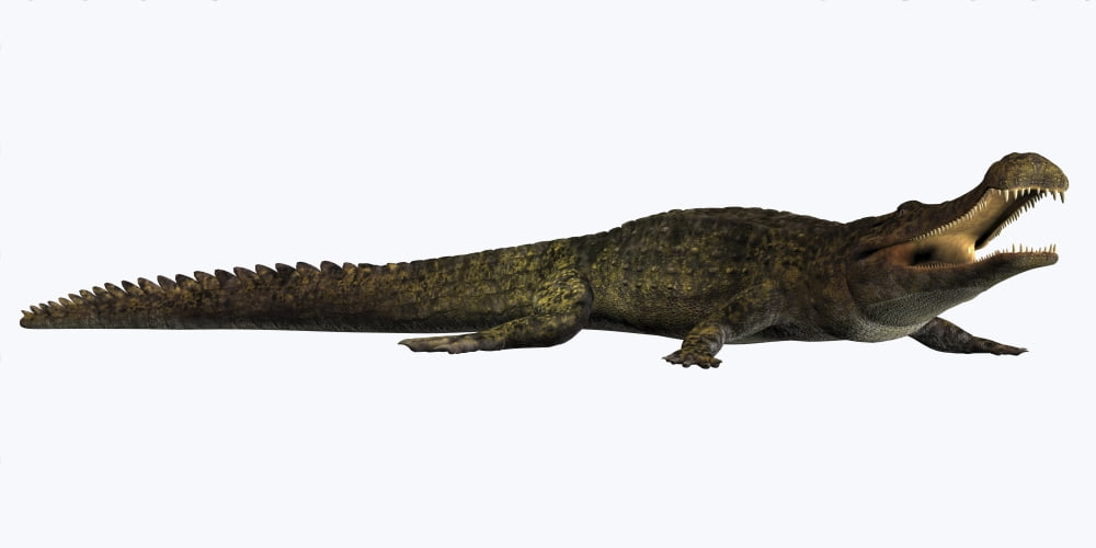 Sarcosuchus crocodyliform from the prehistoric era Canvas Art - Corey FordStocktrek Images (20 x 10)