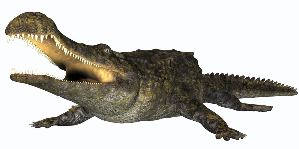 Sarcosuchus crocodyliform from the prehistoric era Canvas Art - Corey FordStocktrek Images (40 x 20)