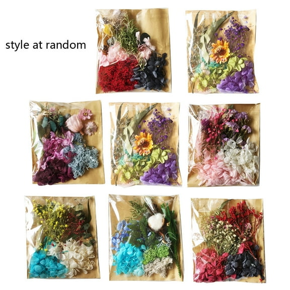 Sardfxul Real Pressed Flower Leaves Natural Dried Daisy Flower Epoxy Mold Filling for DIY Epoxy Resin Jewelry Making Scrapbooking