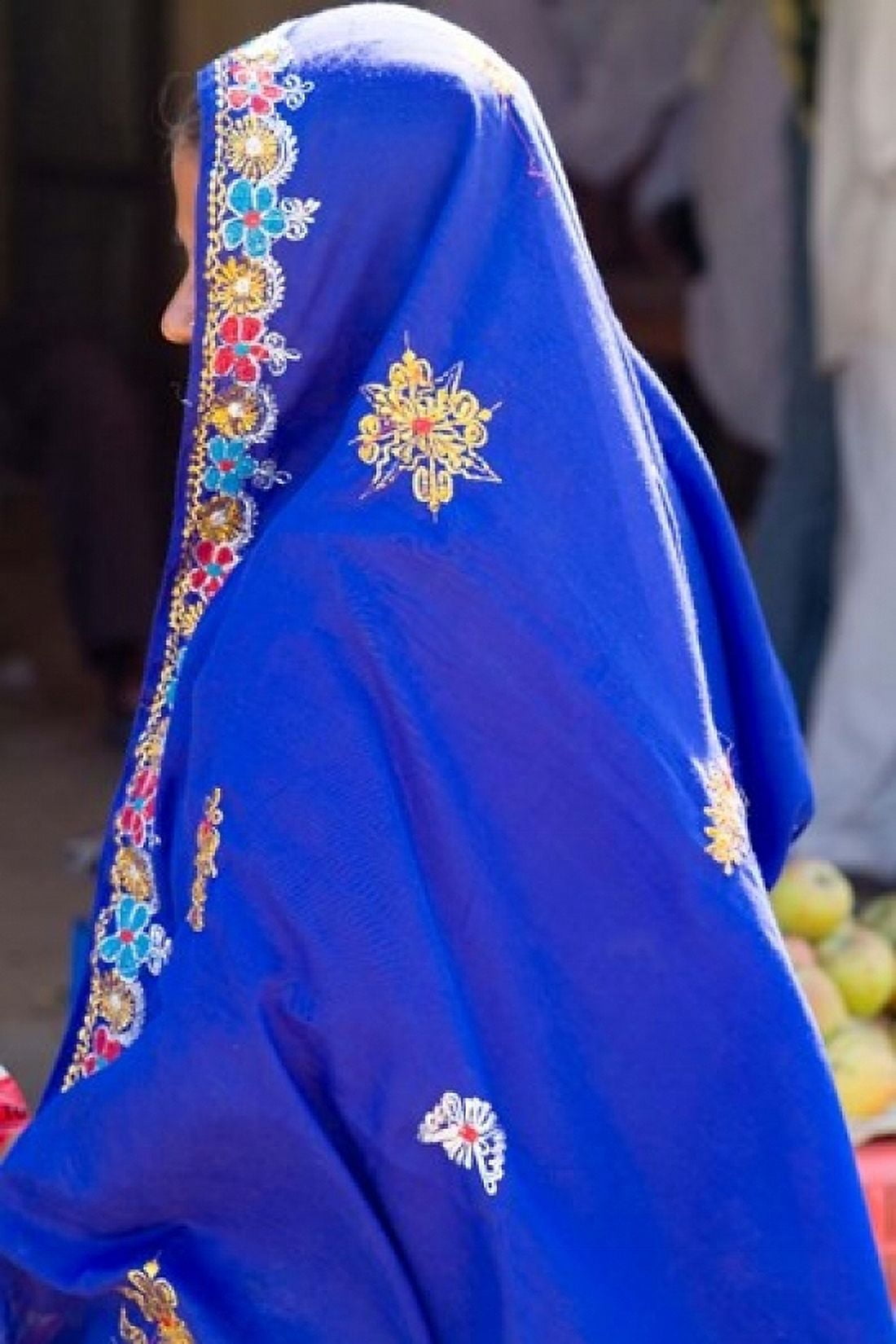 Sari Woman New Delhi India Canvas Art - Bill Bachmann DanitaDelimont (18 x 24)
