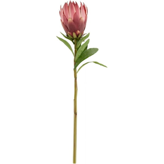 King Protea Stem Floral Accent (Set of 12)