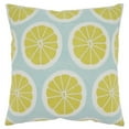 thumbnail image 1 of Saro Lifestyle Embroidered Citrus Down Filled Throw Pillow, 1 of 3
