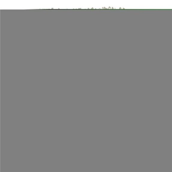 Saro Lifestyle Fringe Stripe Throw Blanket