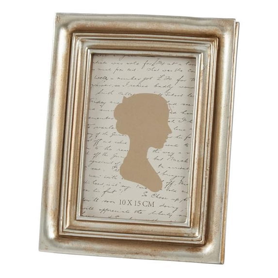 Saro Lifestyle PF170.S46 Classic Design Picture Frame with Distressed Borders, Silver