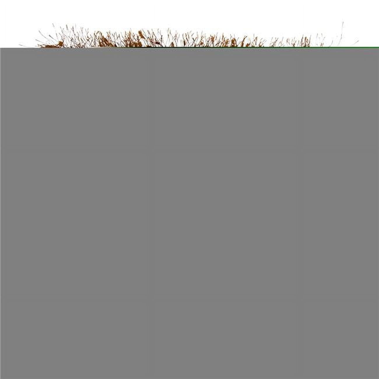 Rust Shaggy Shimmer Square Throw Pillow