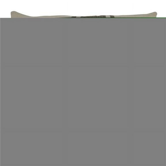 Saro Lifestyle Striped Tassel Poly Filled Throw Pillow