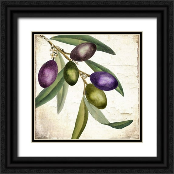 Sasha 20x20 Black Ornate Wood Framed with Double Matting Museum Art Print Titled - Olive Branch I