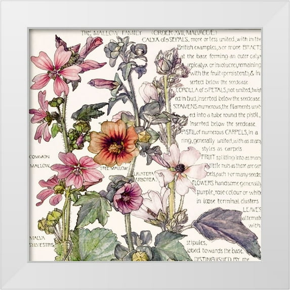 Sasha 20x20 White Modern Wood Framed Museum Art Print Titled - Ambrosia 4