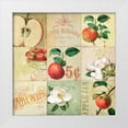 thumbnail image 1 of Sasha 20x20 White Modern Wood Framed Museum Art Print Titled - Apple Blossoms IV, 1 of 4