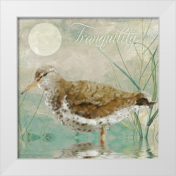 Sasha 20x20 White Modern Wood Framed Museum Art Print Titled - Sand Piper II