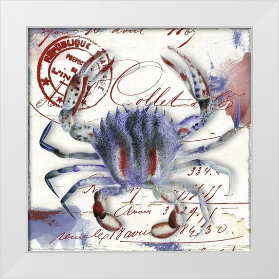 Sasha 26x26 White Modern Wood Framed Museum Art Print Titled - Oceania II
