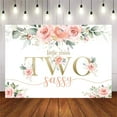thumbnail image 1 of Sassy Birthday Party Decorations Backdrop Pink Floral 2nd Birthday Background Sweet Baby Girl Two Birthday Party Deco Banner Supplies, 1 of 3