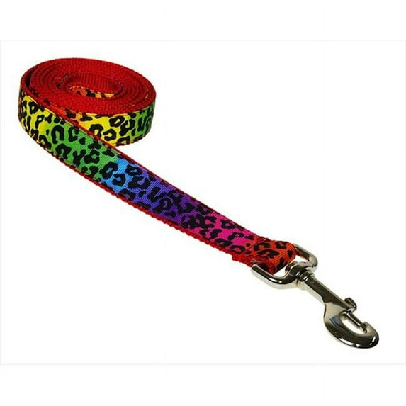 Sassy Dog Wear LEOPARD-RAINBOW3-L 6 ft. Leopard Dog Leash- Rainbow - Medium
