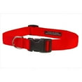 thumbnail image 1 of Sassy Dog Wear SOLID NEON ORANGE LG-C Nylon Webbing Dog Collar- Neon Orange - Large, 1 of 1